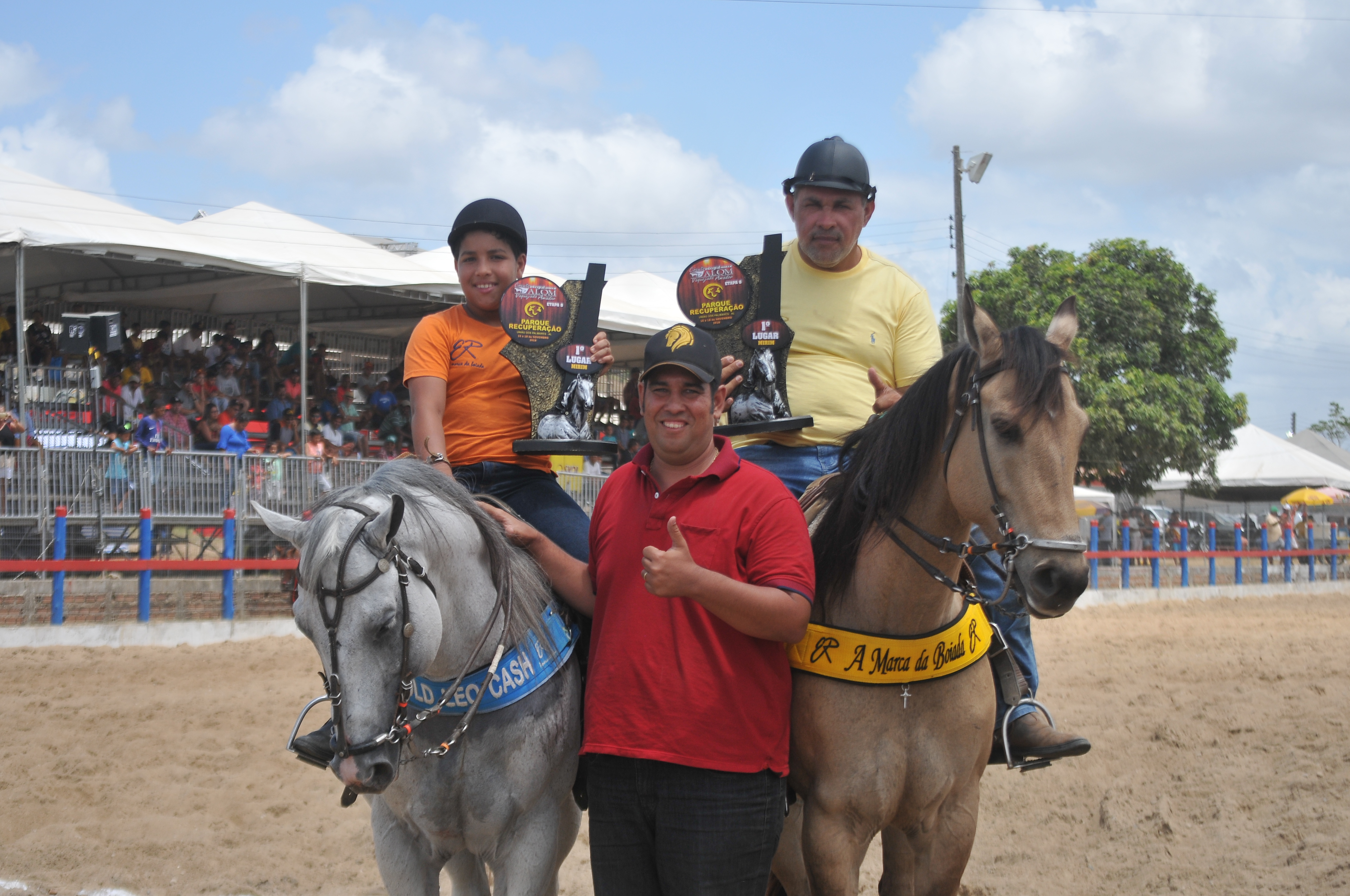 O Jogo De Ação Do Cavalo Dos Cavaleiros Do Jogador De Ireland V Zimbabwe Em  Jogos Do Campeonato Da Polo-cruz Do Campeonato Do Mundo Em Campos Do  Equestrain De Shongweni Fora De